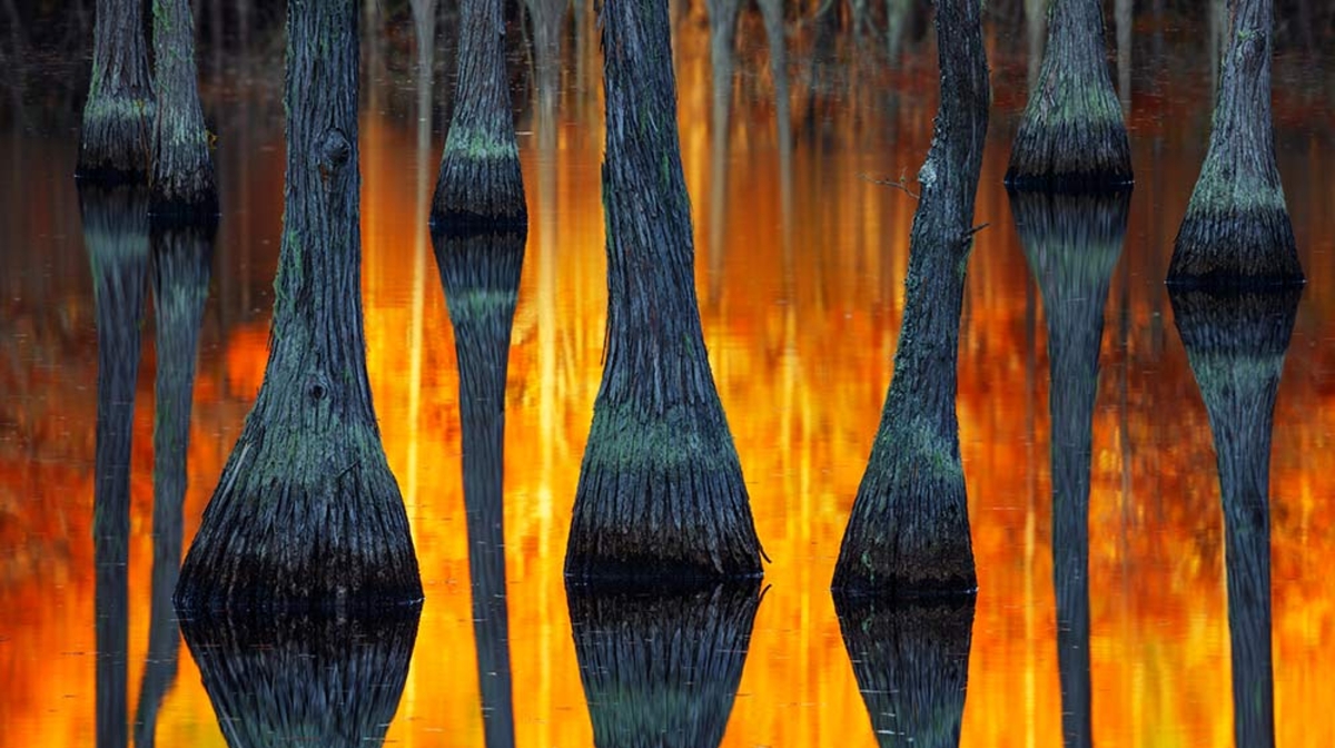 International Landscape Photographer of the Year-نىڭ ەڭ ۇزدىك سۋرەتتەرى