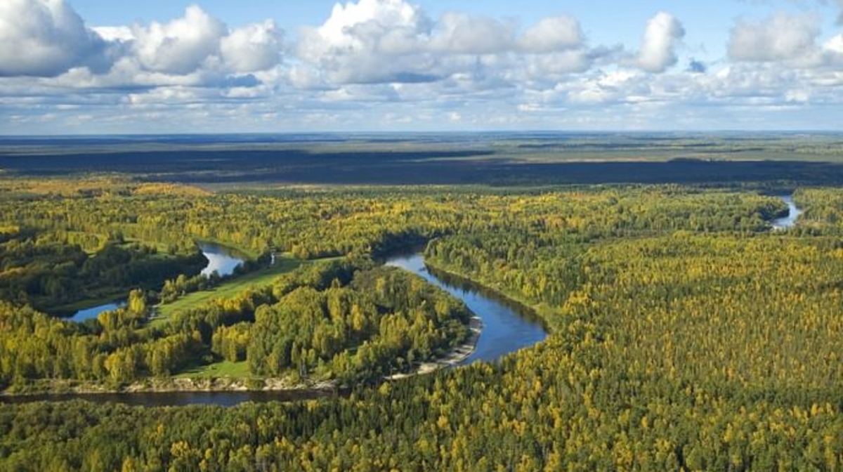 Мен сібірге өз еркіммен кеткенім жоқ...