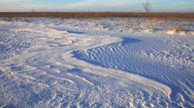 Күш атасын танымас (І нұсқа)