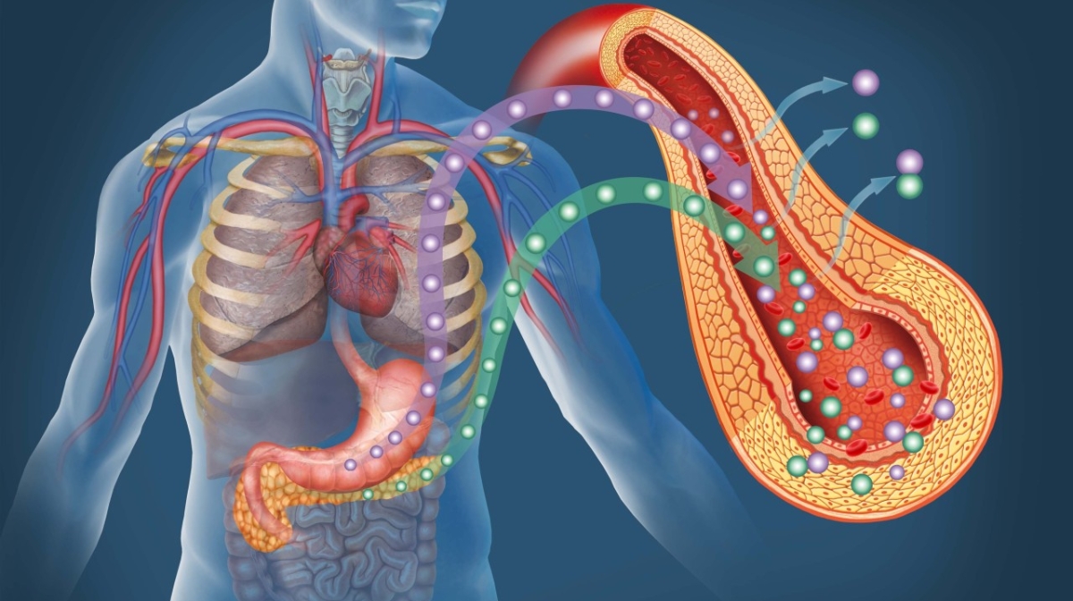 ءجىتى پانكرەاتيت – ۇيقى بەزىنىڭ ءقاۋىپتى سىرقاتى