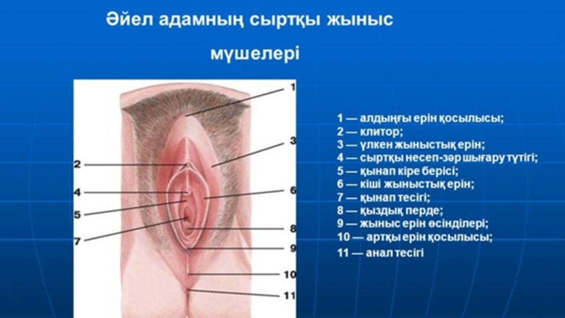 Қыздық перде деген не, ол қалай алынады?