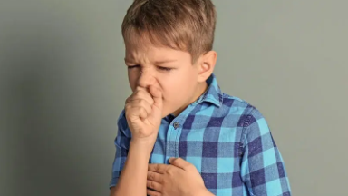 ىلگىر دەگەن كىمدەر؟
