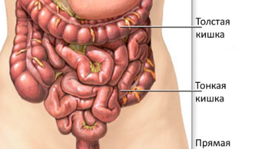 Жедел ішек инфекциялары – жаз мезгіліндегі басты қауіп