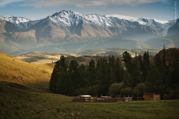 Алтай өлкесі (Ресей)