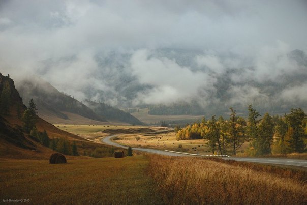 Алтай өлкесі (Ресей)