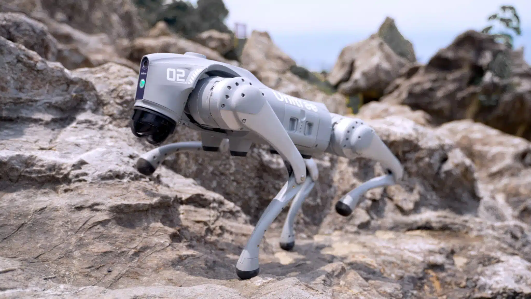 Robot Dog with AI Helps Kazakhstan Police Find Four Offenders in Crowd