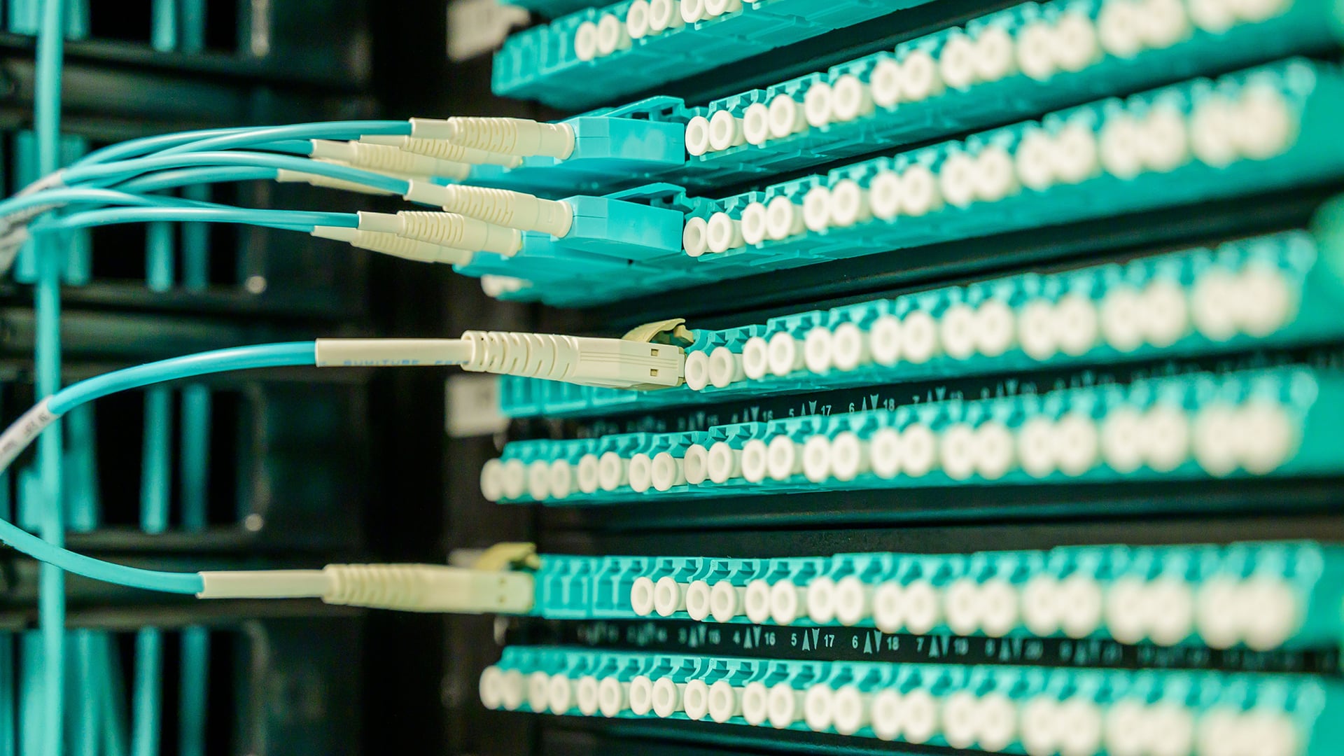 Tokayev invites Chinese AI giants to build Data Center Valley in Ekibastuz