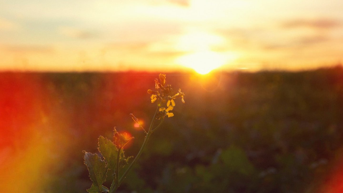 Extreme Heat: Kazakhstan Weather Forecast for July 18
