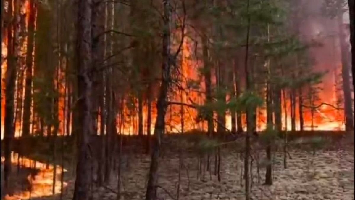 Лесной пожар в области Абай удалось локализовать спустя двое суток