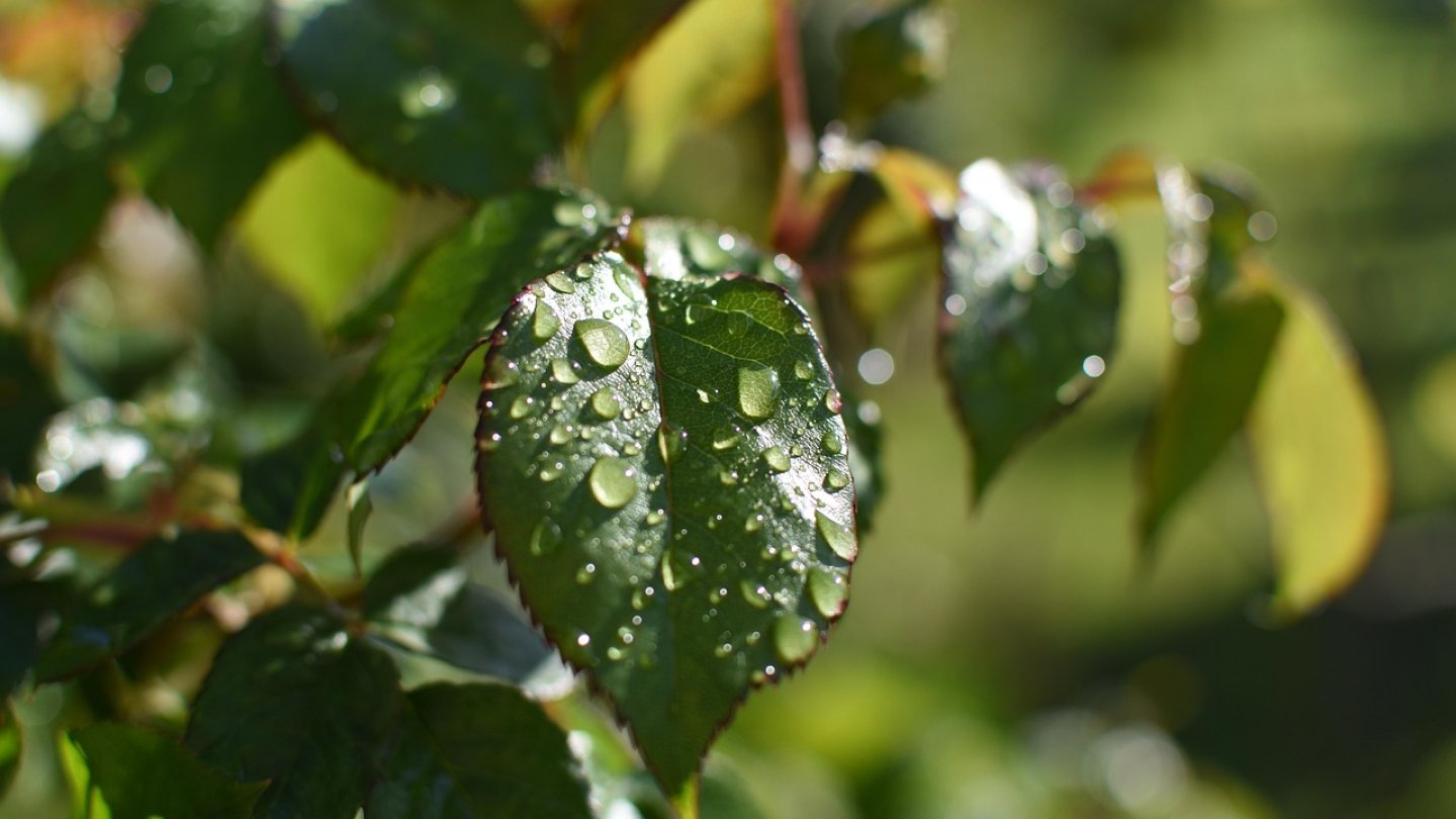 Rain After Heatwave: Kazakhstan Weather Forecast for July 21