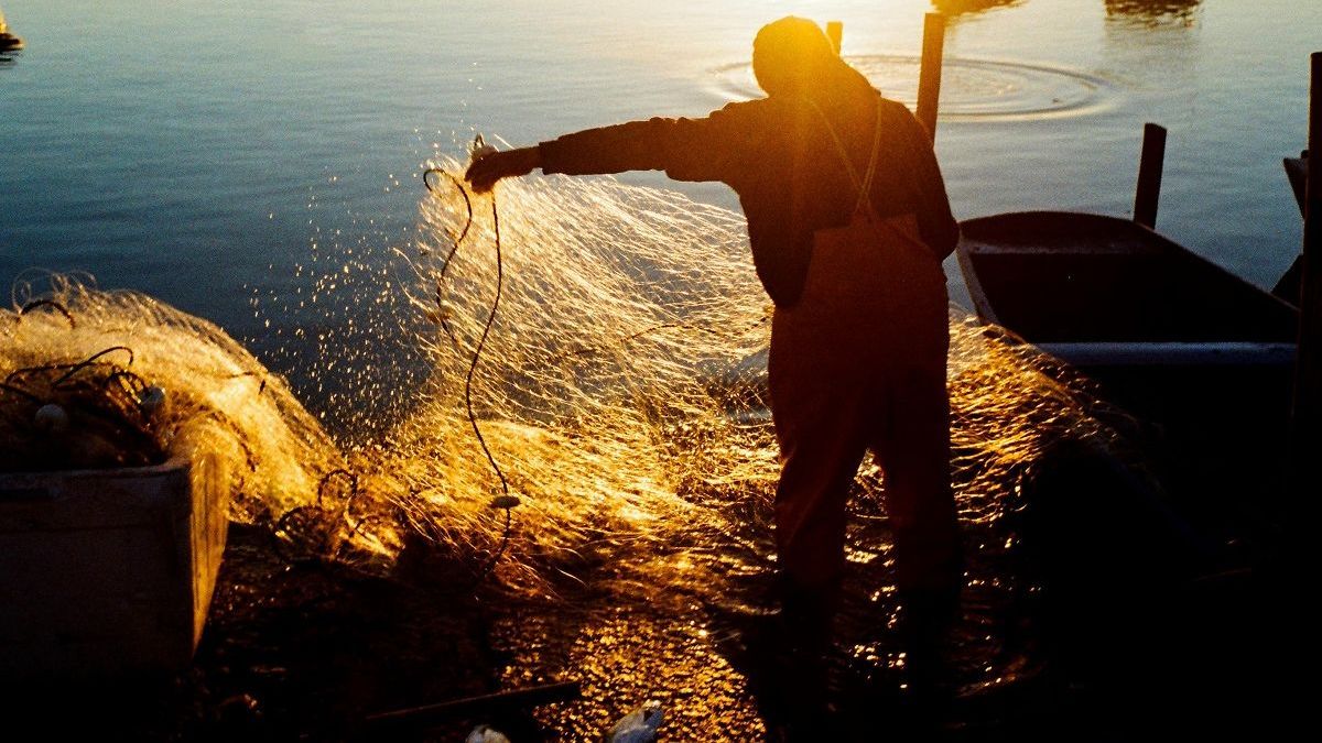 Balkhash poachers sentenced: 261 kg of fish, 1.2 million tenge in damages