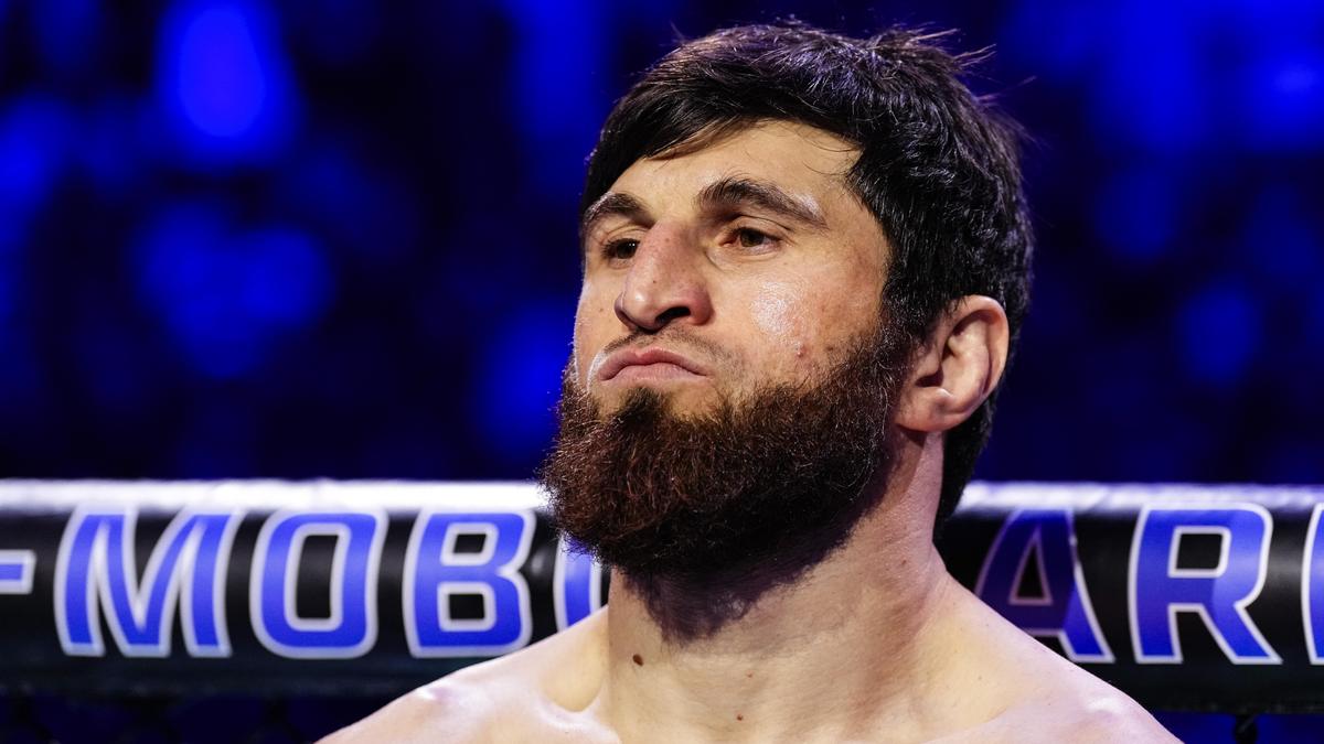 Former UFC champion Ankalaev knocks out Uzbekistan's Guskov at Abu Dhabi event