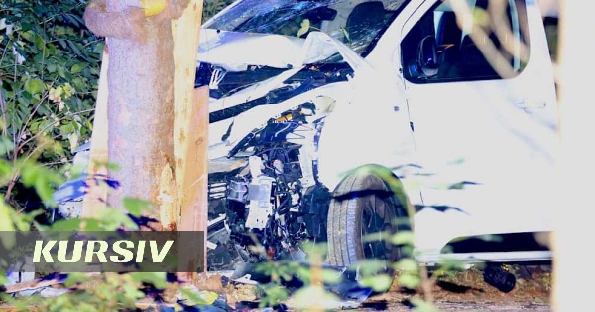 Берлинде ЛГБТ-шеруіне фургон соқтығысып, бір адам қаза тапты