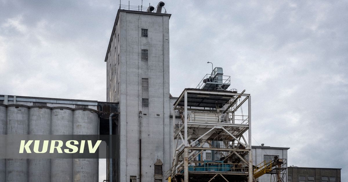 Ауыл шаруашылығы министрінің ағасы элеватордан 200 млн теңгеден астам табыс тапты