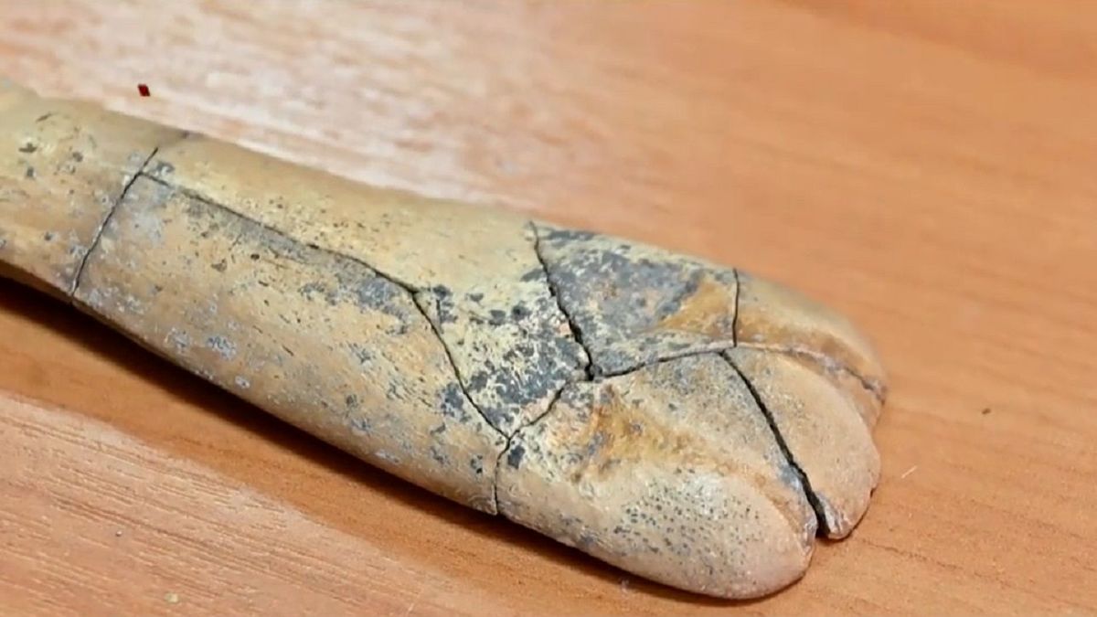В Костанайской области найдены древние захоронения эпохи неолита