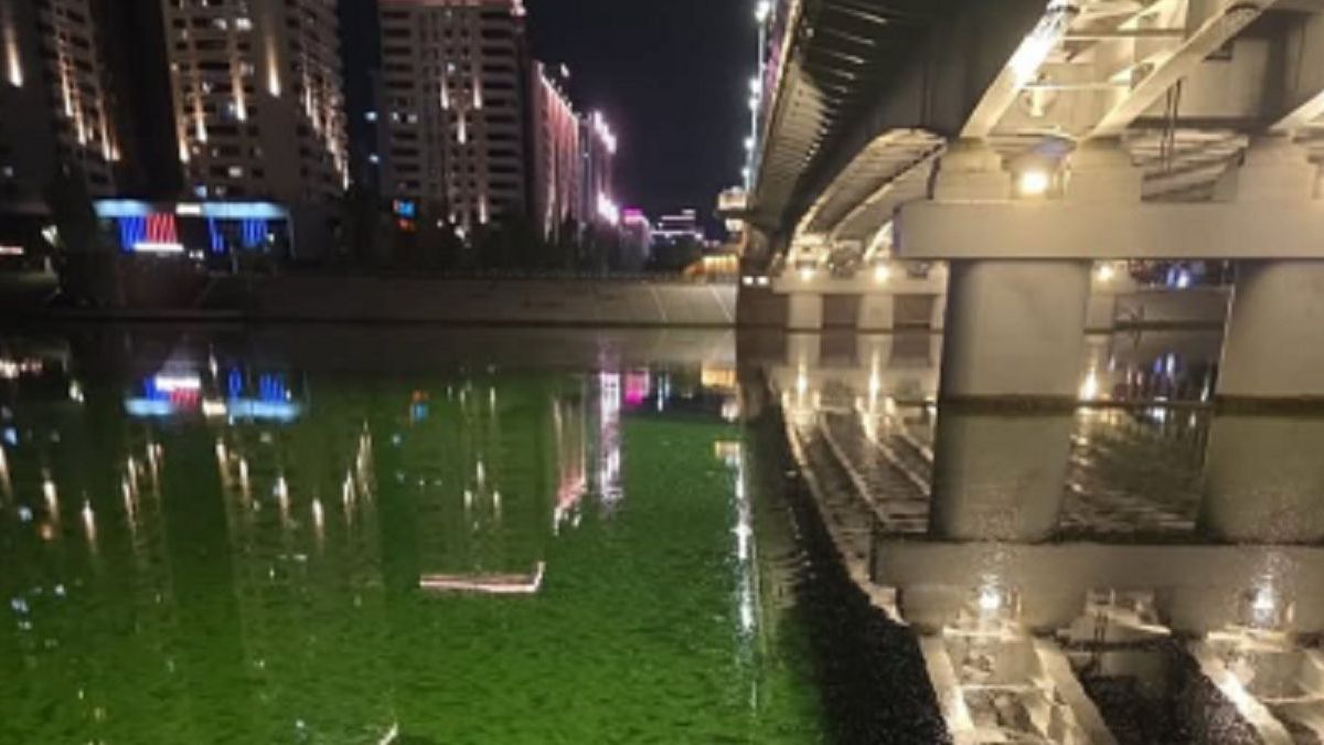 Жителей Астаны встревожил зеленый цвет воды в реке Есиль: комментарий акимата