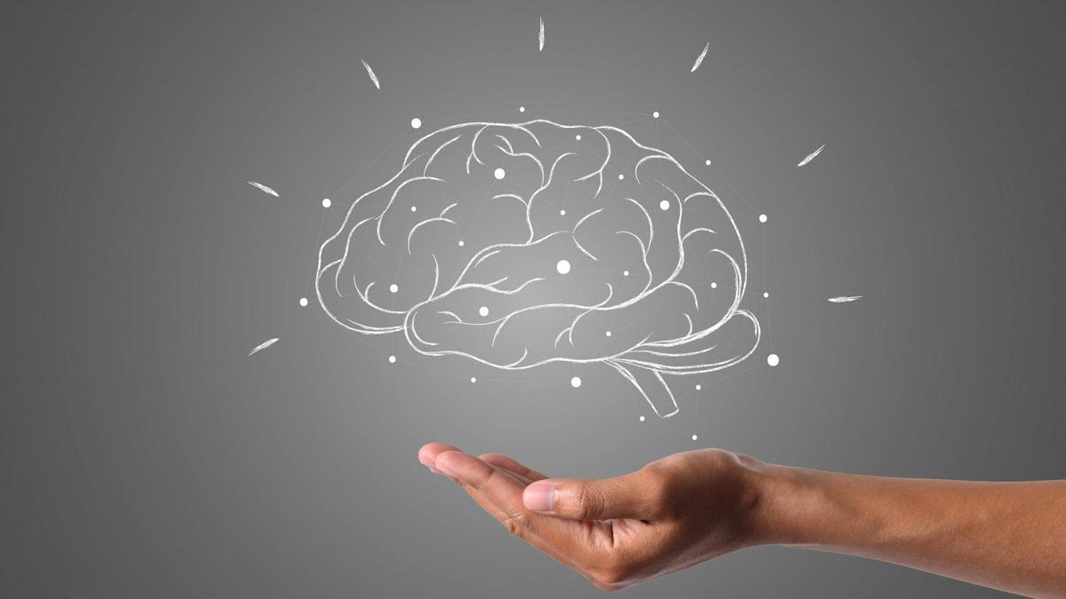Scientists Uncover Neural Mechanism for Route Planning in the Brain