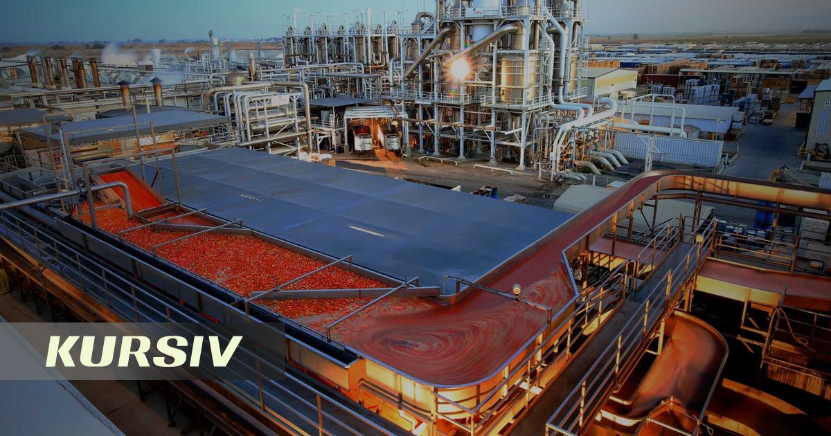 Alpecon Group to Build Tomato Paste Plant in Kyzylorda Region