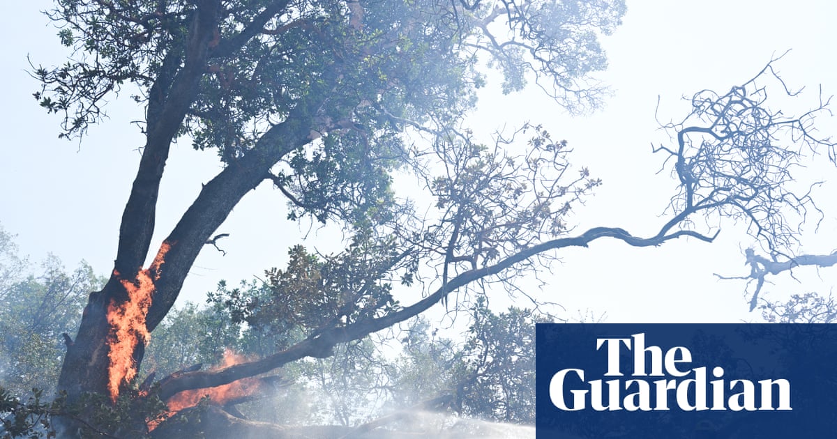 California Big Sur evacuation as Timber fire grows to 1,700 acres