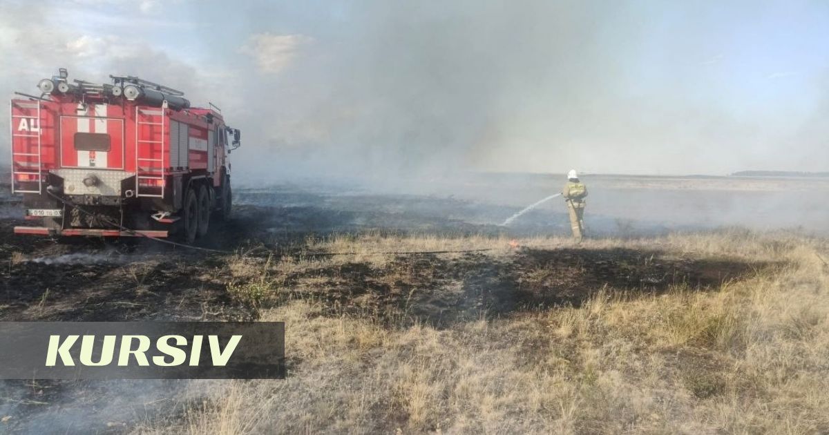 Natural Fires Extinguished Across 67 Hectares in Akmola Region