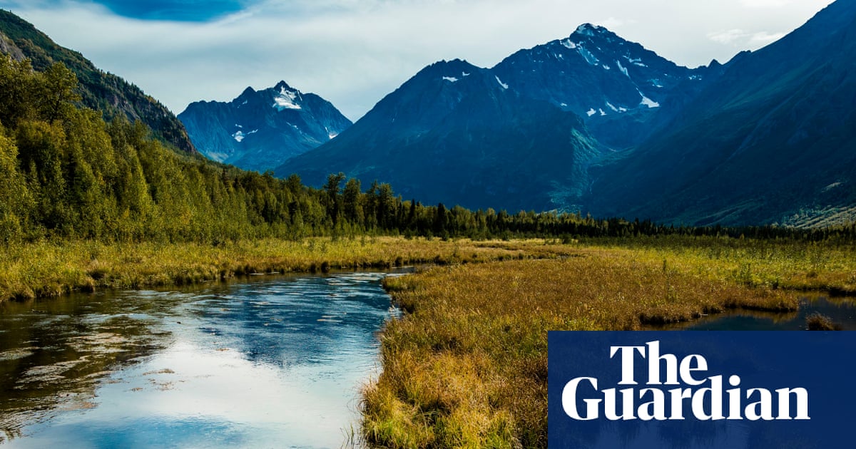 Alaska Runner Uses Bear Spray to Fend Off Attack: 'Nightmare Come to Life'