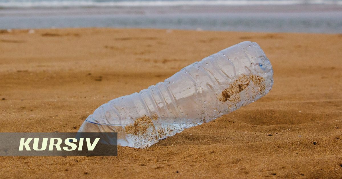 Каспийдегі демалыс мыңдаған туристке айыппұл әкелді