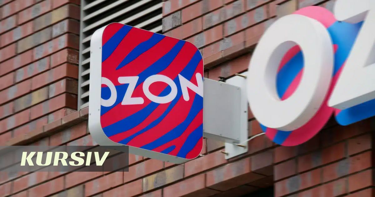 Ozon отменяет заказы казахстанцев после атаки БПЛА на склад в Самарской области