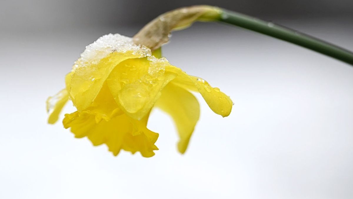 Rain, Hail, and Wet Snow Expected in Several Regions of Kazakhstan