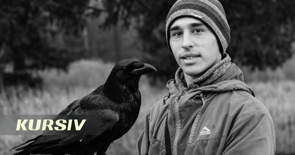 Умер автор популярного канала «Ворон TV» и хозяин ворона Гоши