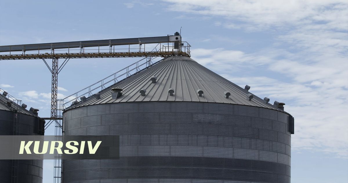 Зерновая компания Амирбека Курбанова завершила год с убытком в 741,6 млн тенге