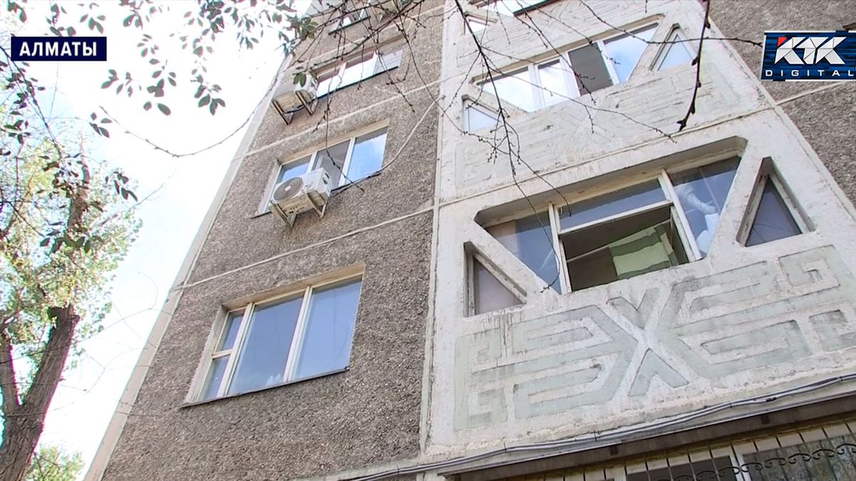 «Аққа батырып жатыр»: алматылықтар пәтерін ит үйіне айналдырған зейнеткерге шағымданды