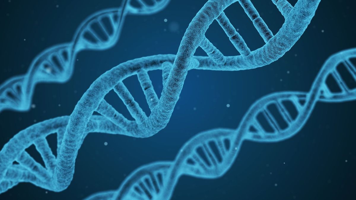 Scientists uncover hidden layer of Alzheimer's pathogenesis in the genome