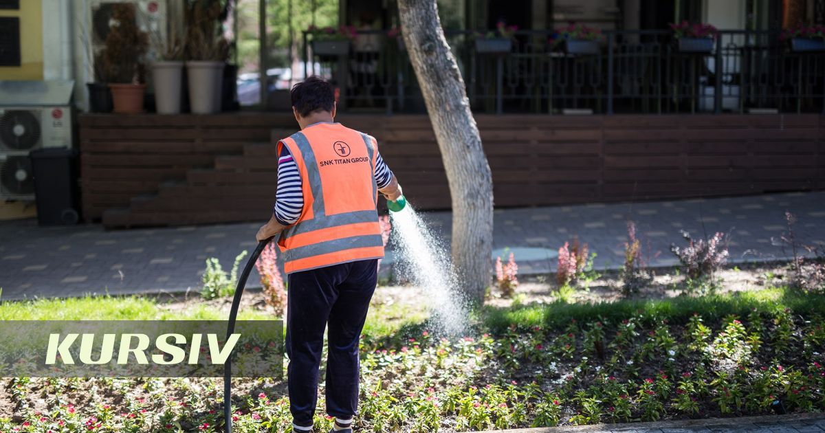 Almaty authorities report on tree watering but withhold spending figures