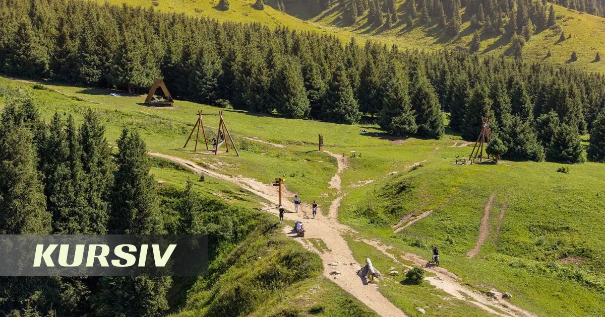 Almaty Superski karşıtlarından basın toplantısı: projenin zararı kanıtlanmadı