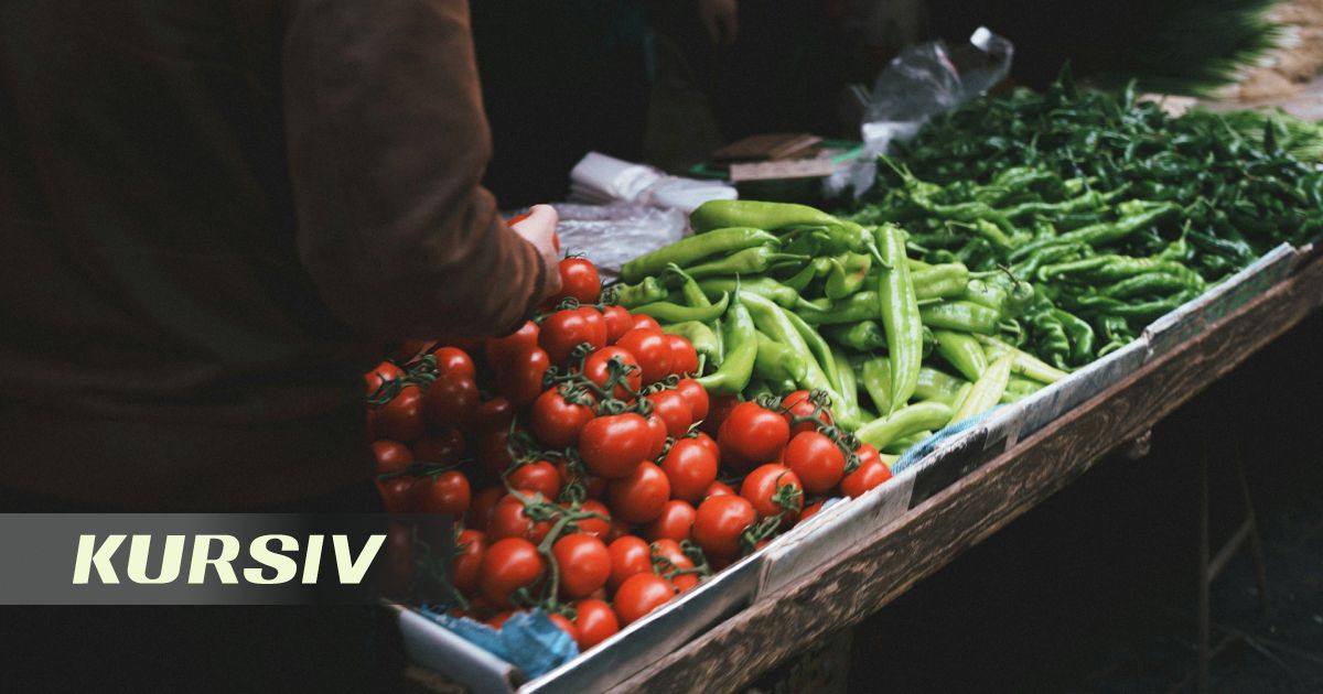 Almaty to Open Revamped Weekend Market in Kazakhfilm on City Day