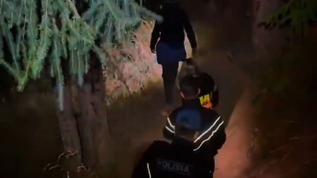 Bear-like roar in Almaty mountains: rescuers escort four tourists to Medeu