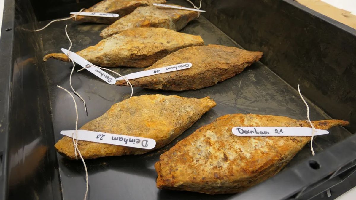 Europe's largest hoard of 2,200-year-old iron bars found in the Danube
