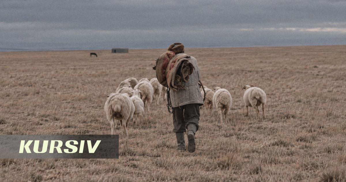 Қазақстан «Әбіл» драмасын 99-шы «Оскар» сыйлығына жібереді