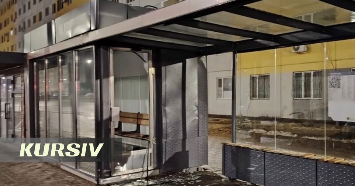 Астана әкімі Жеңіс Қасымбек вандалдарды жауапкершілікке тарту туралы ескертті