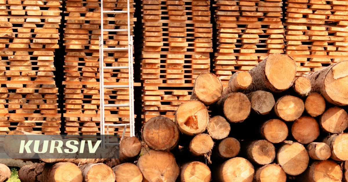 Kazakhstan's NSC Uncovers Corruption Scheme in Semey Ormany Reserve