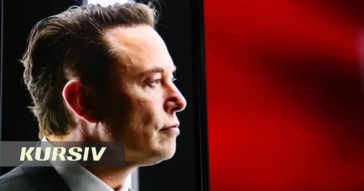 Шивон Зилис объявила о расставании с Илоном Маском по его инициативе