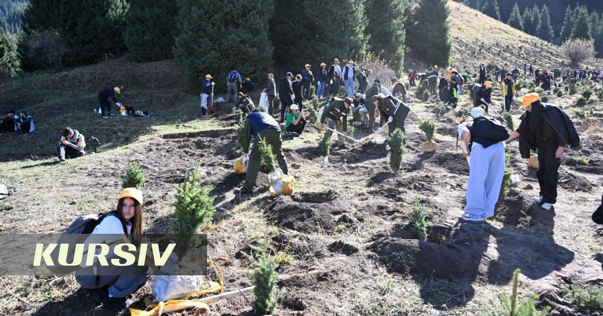 Almaty Youth Plant 2,000 Spruce Trees at Kok-Zhailau