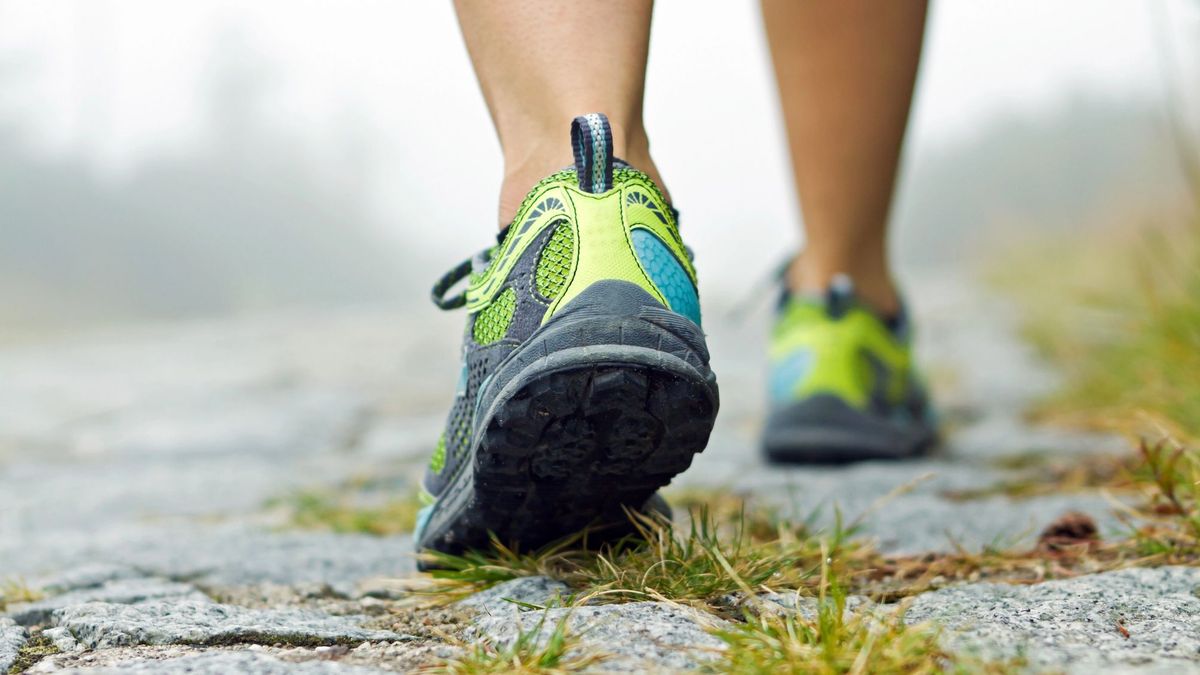 20-minute walk boosts gut motility within minutes, scientists find
