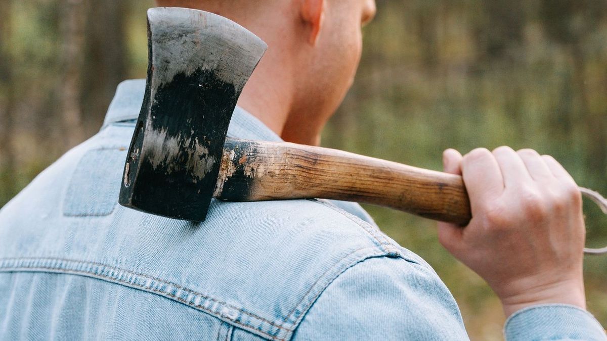 Kazakhstan Man Kills Dog with Axe, Gets 100 Hours Community Service