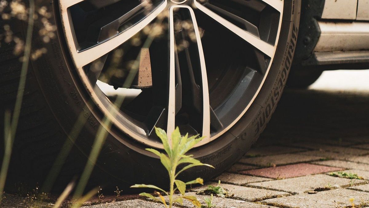 Kazakhstan Court Orders Akimat to Pay 205,400 Tenge for Car Damage from Open Manhole