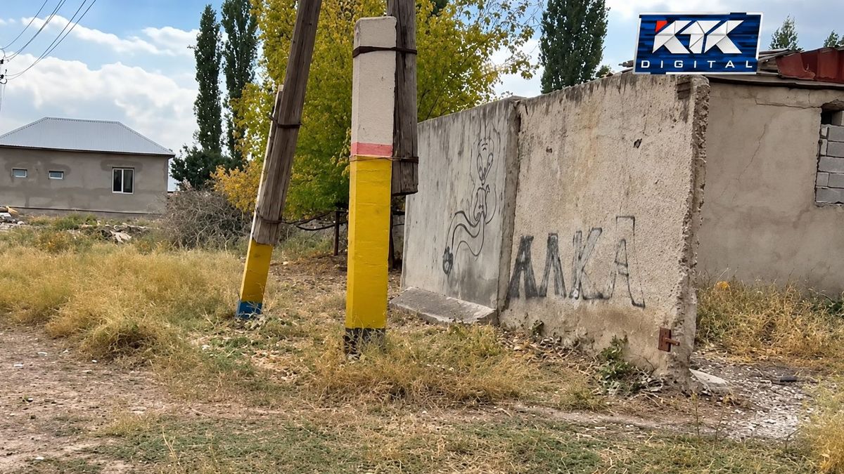 Jambıl bölgesinde 15 yaşındaki öğrencinin göğsüne vurulduktan sonra ölümü: trajedinin ayrıntıları