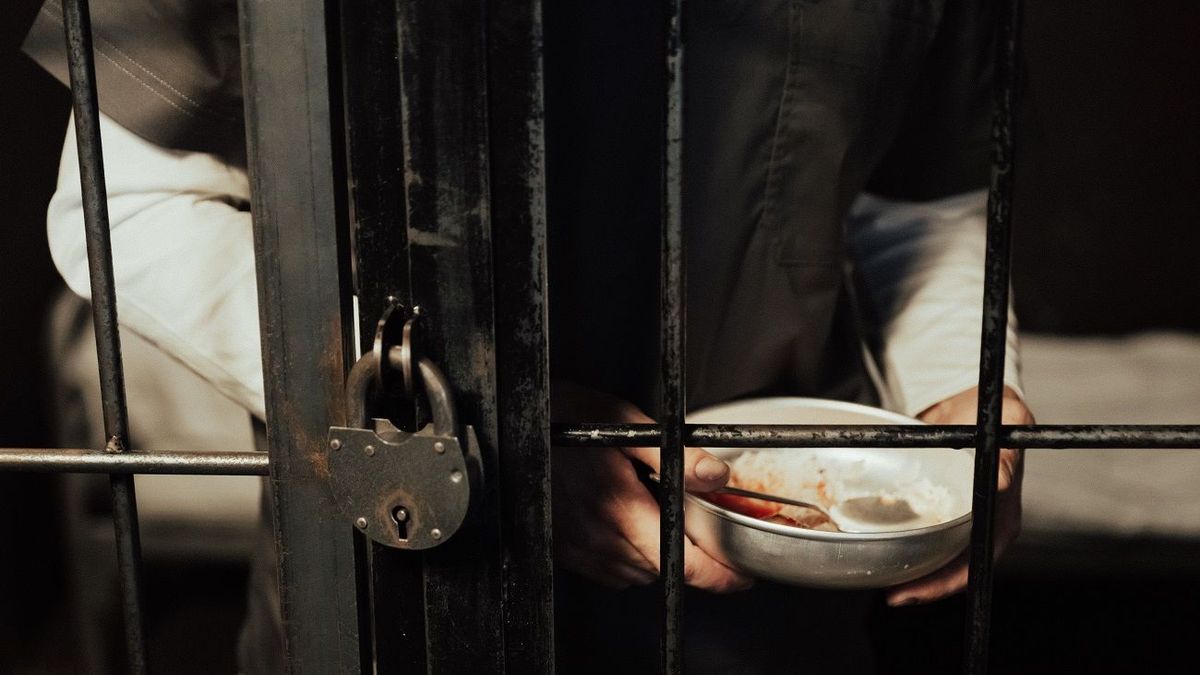 Repeat offender in Auliekol sentenced to 3.5 years in maximum-security prison for series of thefts