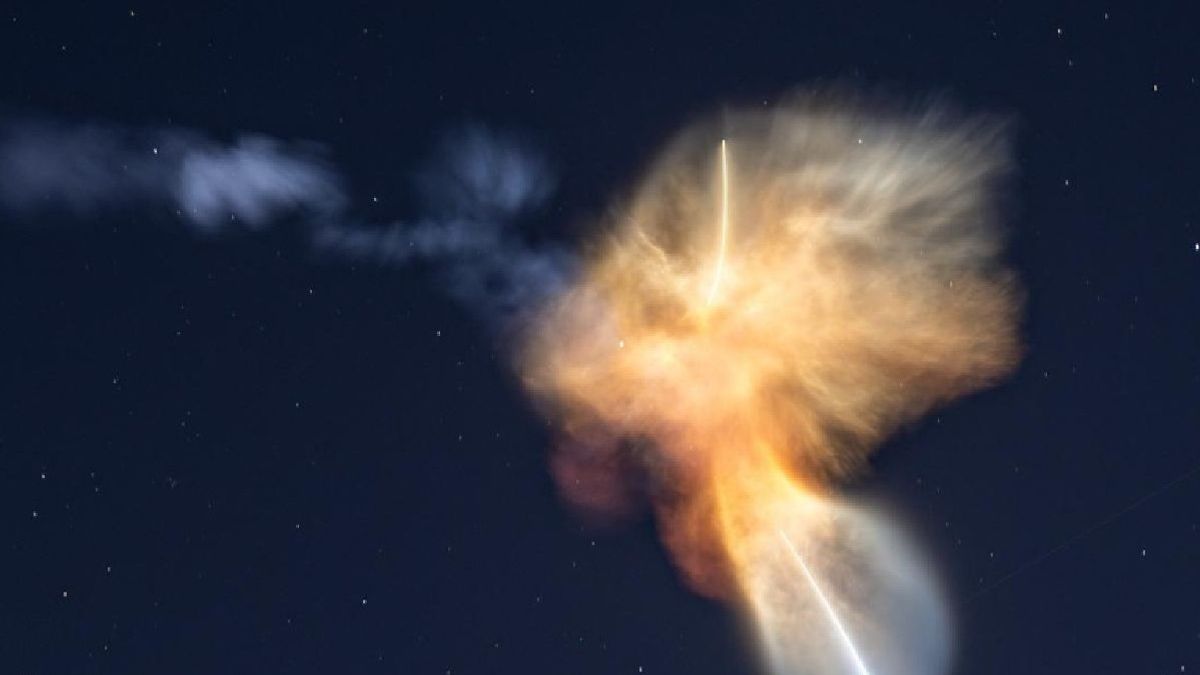 NASA объяснило эффект «медузы» в небе после запуска ракеты SpaceX
