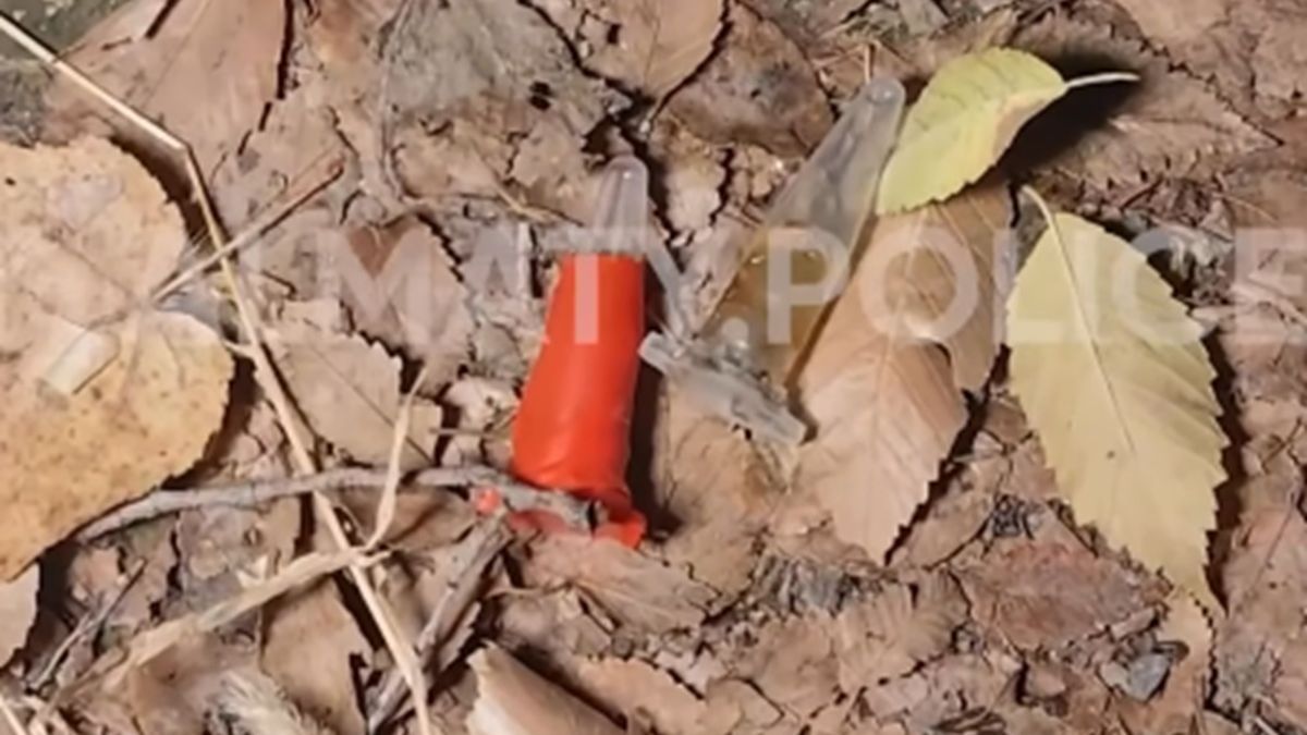 Man detained in Almaty after fleeing patrol officers and discarding suspicious substance