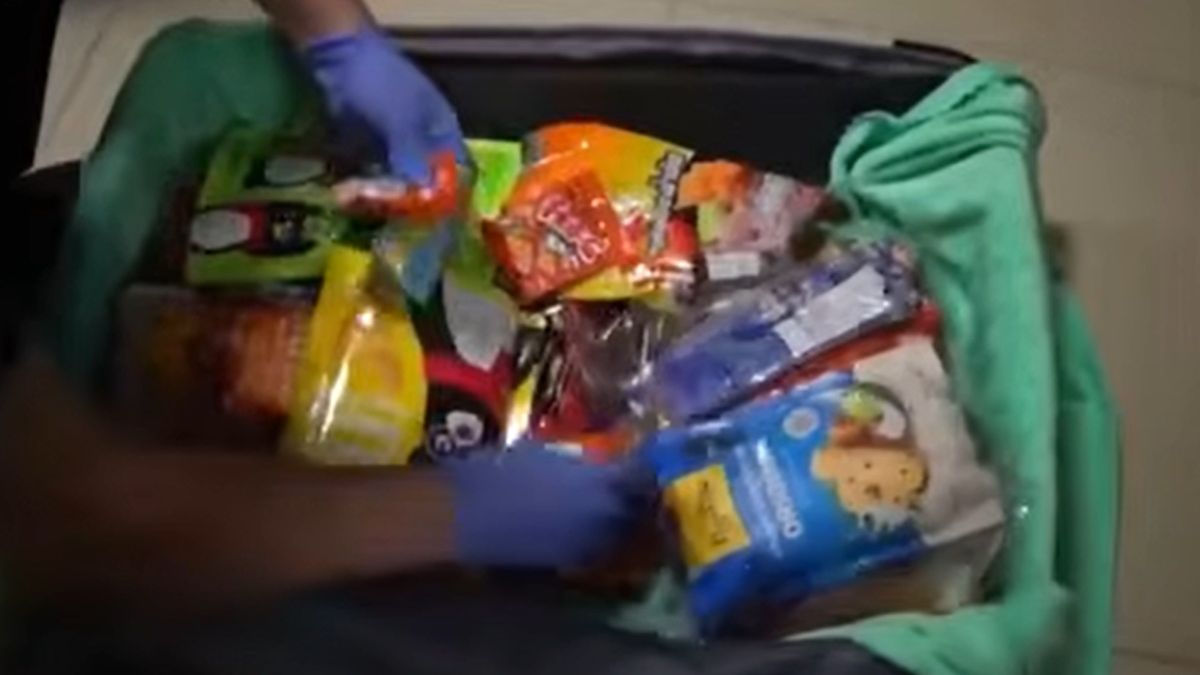 Foreigner sentenced to 16 years for smuggling 17 kg of drugs into Kazakhstan